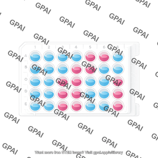 Processing plate 48 well cobas top view with liquid editable