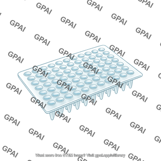 Pcr plate 96 wells with liquid