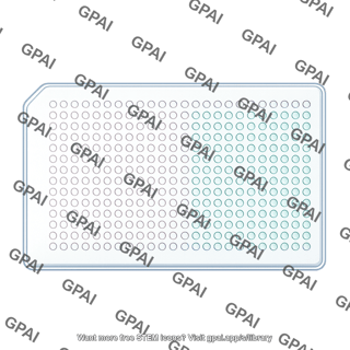 Well plate top view 384 wells 1