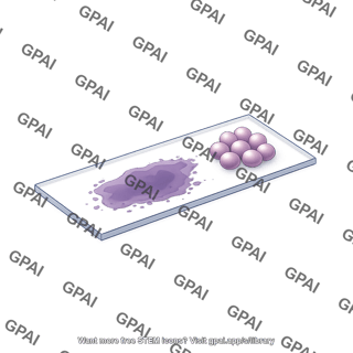 Microscope slide with sample