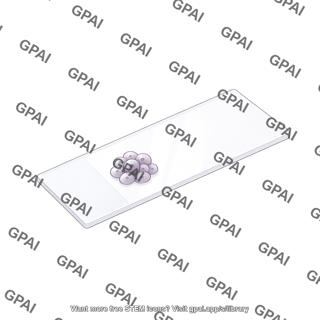 Microscope slide top view with sample