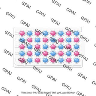 Processing plate cobas top view