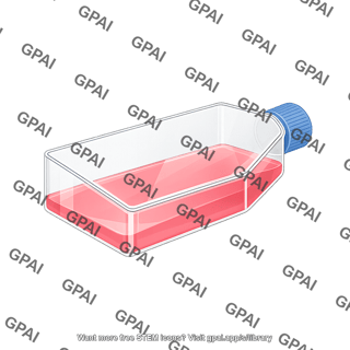 Cell culture flask t150