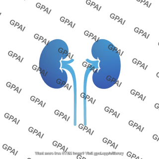 Kidneys symbol