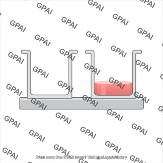 Well plate side view container 2