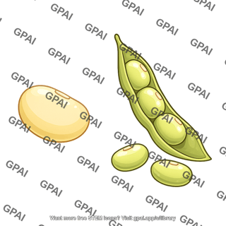 Soybean seed mature
