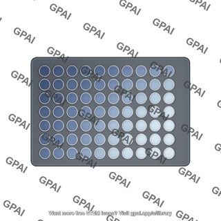 Well plate top view 96 wells schematic
