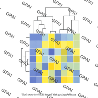 Heat map portrait editable