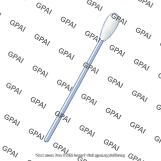 Flocked swab