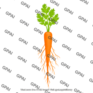 Carrot with roots