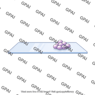 Microscope slide side view