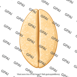 Oat flake