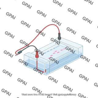 Gel electrophoresis horizontal with wires and bands