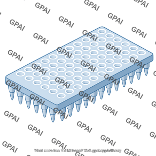 Pcr plate