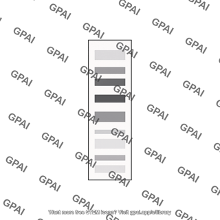 1de blot generic