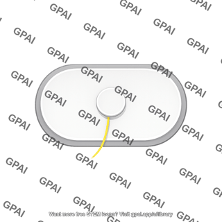 Continuous glucose monitor patch