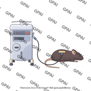 Pathway thermode connected to mouse