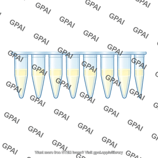 Phytostrip 8 wells with agar side view 886