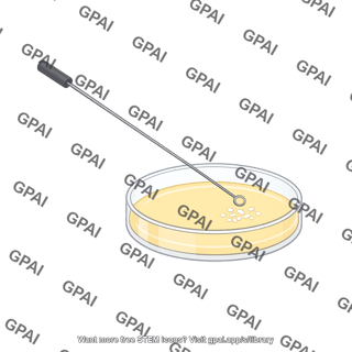 Petri dish inoculation