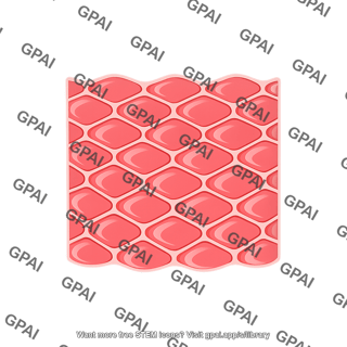 Skin mesh