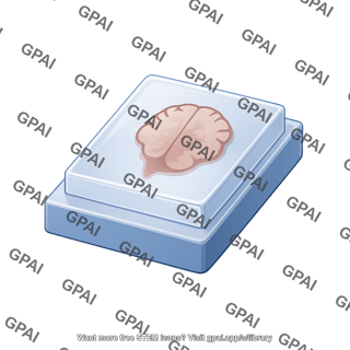 Ffpe sample brain 2