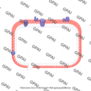 Paragraph text editable 248