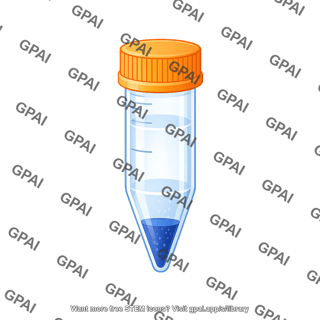 Screw cap eppendorf tube pellet