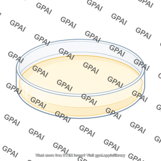 Petri dish 2 810