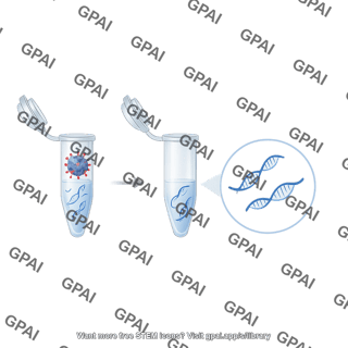 Rna extraction from deactivated sars cov 2 virus and rna callout