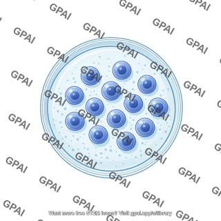 Petri dish with cells top view