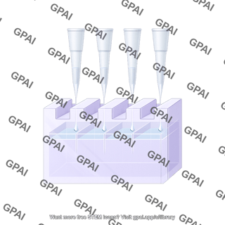 Gel with big pipette tips