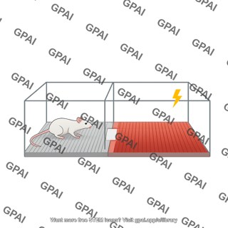 Active avoidance procedure 2 way