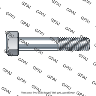 Hex head bolt