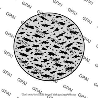 Gray cast iron flake graphite microstructure