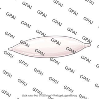 Swim bladder