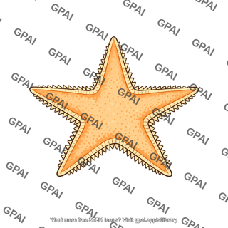 Sand star astropecten