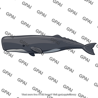 Sperm whale