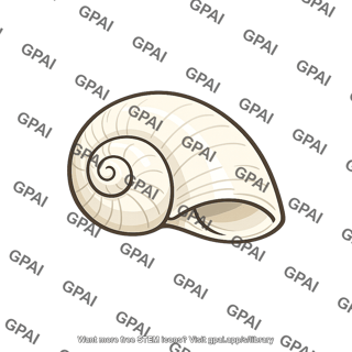 Marine shell