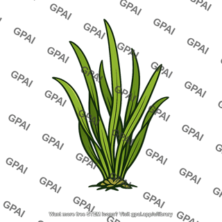 Marine plant