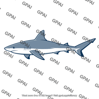 Gray reef shark
