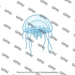 Hydrozoan medusa