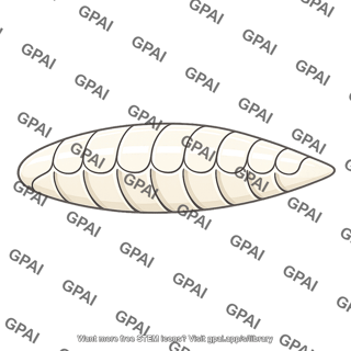 Cephalopod gas container