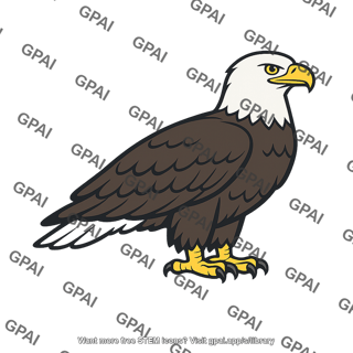Bald eagle