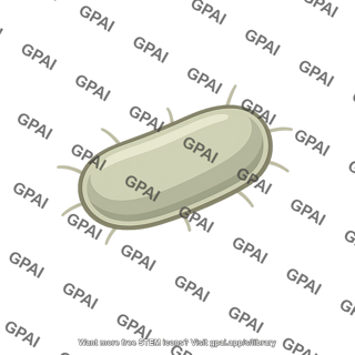 Anaerobic bacterium with projections