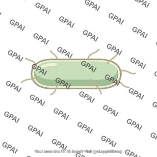 Rod shaped bacterium