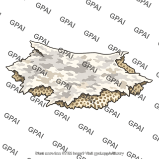 Coral tissue dead
