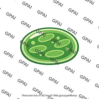 Photosynthetic phytoplankton