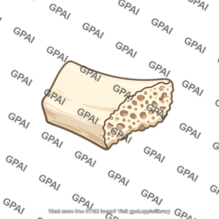 Bone fragment