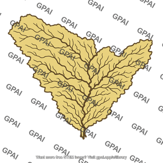 Leaf with veins
