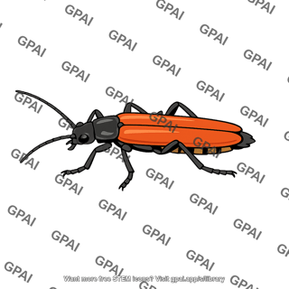 Soldier beetle